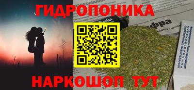 прущие грибы Ачхой-Мартан