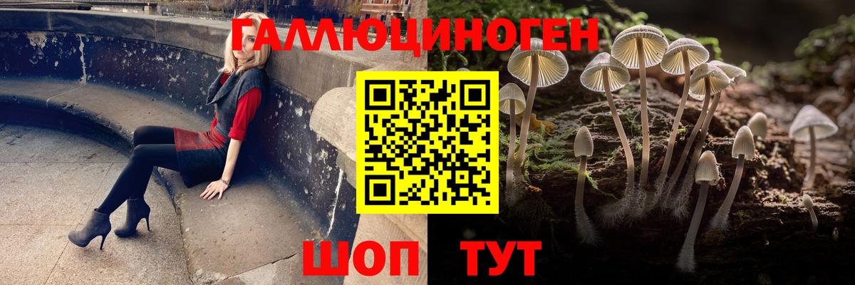 Псилоцибиновые грибы MAGIC MUSHROOMS  Псилоцибиновые грибы Magic Shrooms  Сальск  Вход с VPN 
